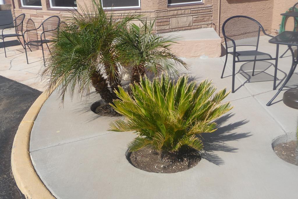 Gila Bend Palms Inn מראה חיצוני תמונה